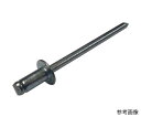 MIC ブラインドリベット オールスチール BS-64 (25本入) M116-0064 25本入(4)