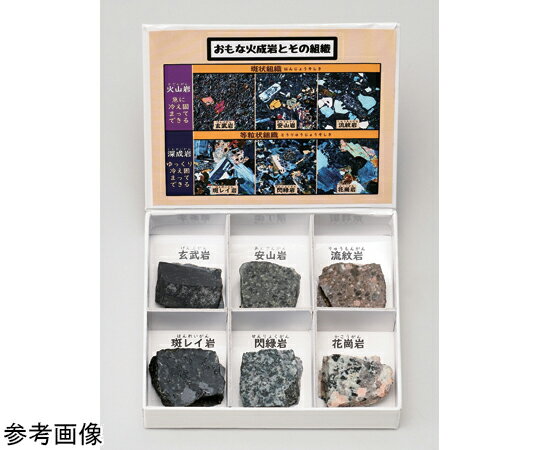 【SS限定 38万商品以上10%OFF】 ミニ標本シリーズ 火成岩6種セット（研磨） 1箱