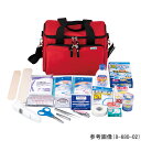 救急バッグセット 予測式体温計 PTB 1個