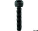 六角穴付ボルト 黒染め 全ネジ M20×65 2本入 B30-2065 1パック(2本入)(4)