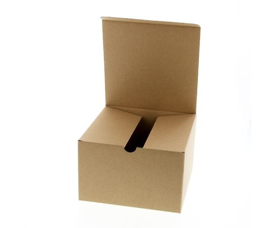 ʥܥåZ-2̵ϡ10硡006200210 1ѥå(10)