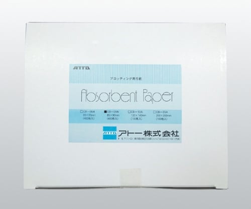 高い緻密性でしっかり溶液を保持 0.9mm厚のろ紙 清潔・清浄　コンタミの心配不要 各種ゲルサイズにカット済 厚さ0.9mm サイズ85x90mm 数量400枚／箱高い緻密性でしっかり溶液を保持 0.9mm厚のろ紙 清潔・清浄　コンタミの心配不要 各種ゲルサイズにカット済 厚さ0.9mm サイズ85x90mm 数量400枚／箱