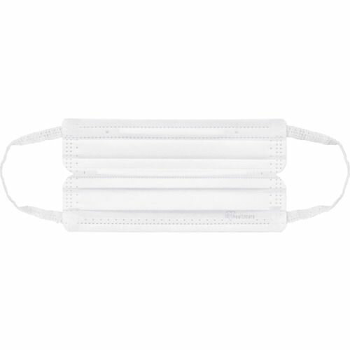 IRIS　290853　ナノエアーマスク　ふつう　30枚入り　1箱 (PKTN30L)