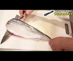 アニサキスライト YF-980 1台（3枚目）