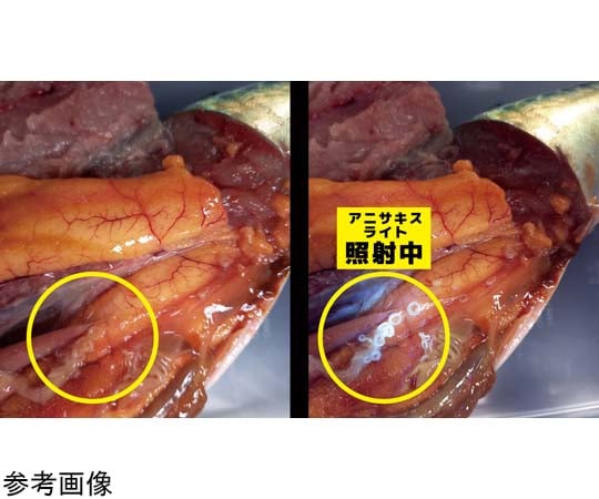 アニサキスライト YF-980 1台（2枚目）