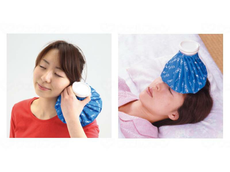 富士商ハンディ氷のう 大