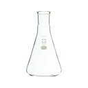 SPC三角フラスコ 300mL 030150-29300 1個