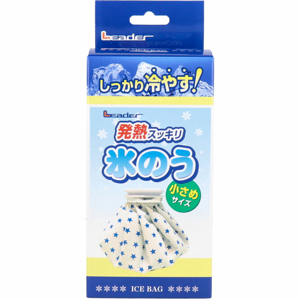 リーダー 発熱スッキリ 氷のう 小さめサイズ 1個入 1個