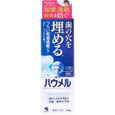 薬用ハミガキ ハウメル フレッシュミント 100g 1個