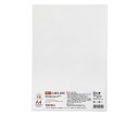 厚口 大直礼状紙 A4 100枚入 205003004 1パック(100枚入)