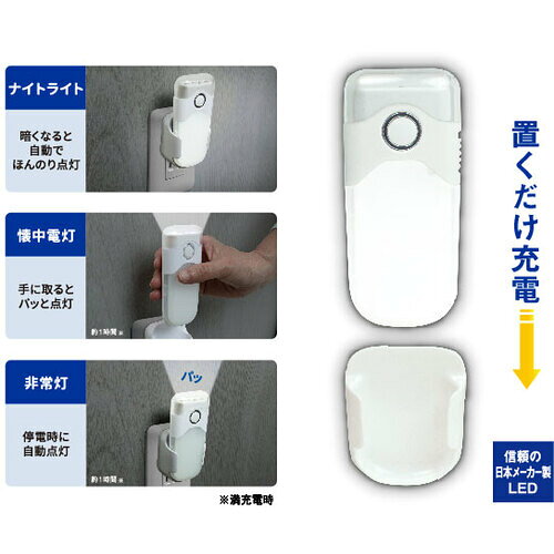 【期間限定!対象商品P2〜20倍】 RITEX　LED壁ホタル 1個