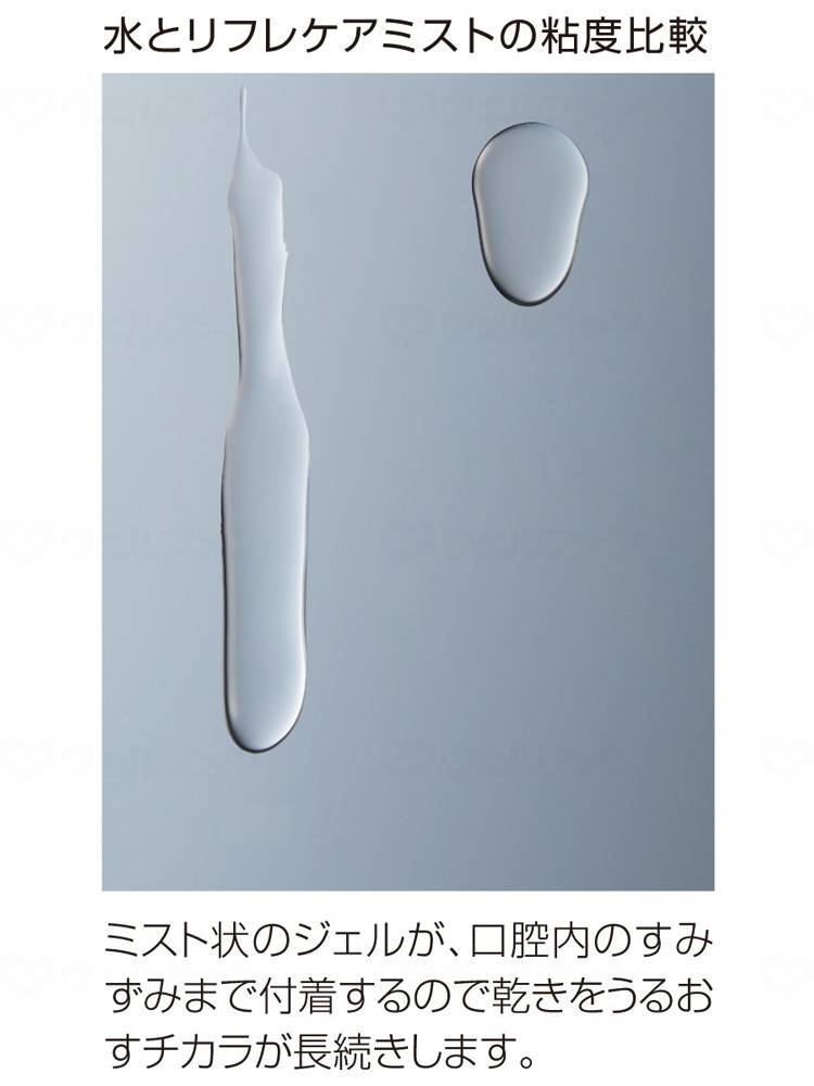 【期間限定!対象商品P2〜20倍】 雪印ビーンスタークリフレケアミスト 個 50ml 2