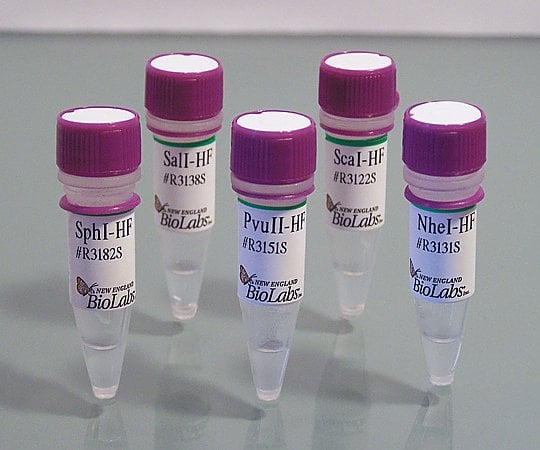 EcoRI-HF R3101S 1セット