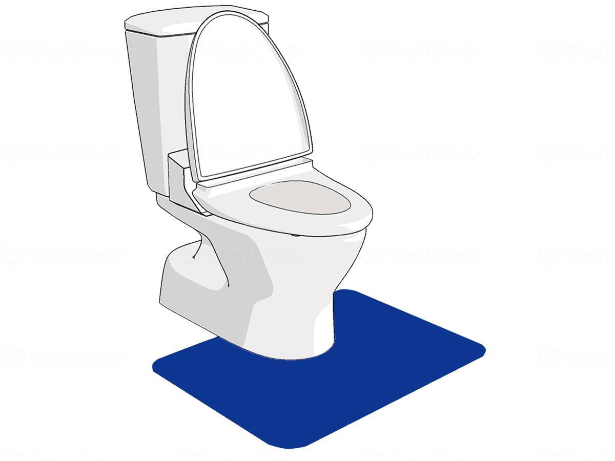 シンエイテクノゼオシーター ブルー 55×60（洋式）