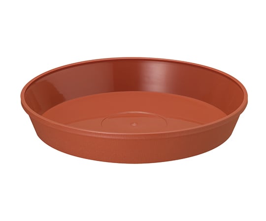 �ե쥰�顼�ץ졼�� 21���ѡ��֥饦�� 1��