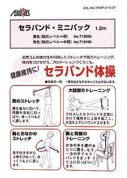 ���ӥ�ƥ������������ͥåȥ���Х�ɥߥ˥ѥå� �� ��