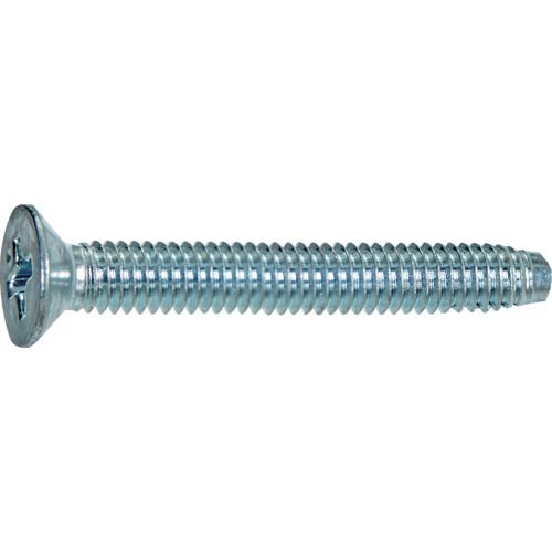 【特長】●先端の2〜2.5山がテーパーになっており、先端を1/4カットしています。●カット部は相手材を削る刃の役割をします。●小ねじと同じピッチです。【仕様】●寸法(mm)d：M6●寸法(mm)L：25●ねじピッチ(mm)：1.0●頭部径(mm)：12.0●頭部厚さ(mm)：3.40●表面処理：三価クロメート仕上げ（白）【材質／仕上】●スチール●表面処理:三価クロメート仕上げ（白）【特長】●先端の2〜2.5山がテーパーになっており、先端を1/4カットしています。●カット部は相手材を削る刃の役割をします。●小ねじと同じピッチです。【仕様】●寸法(mm)d：M6●寸法(mm)L：25●ねじピッチ(mm)：1.0●頭部径(mm)：12.0●頭部厚さ(mm)：3.40●表面処理：三価クロメート仕上げ（白）【材質／仕上】●スチール●表面処理:三価クロメート仕上げ（白）