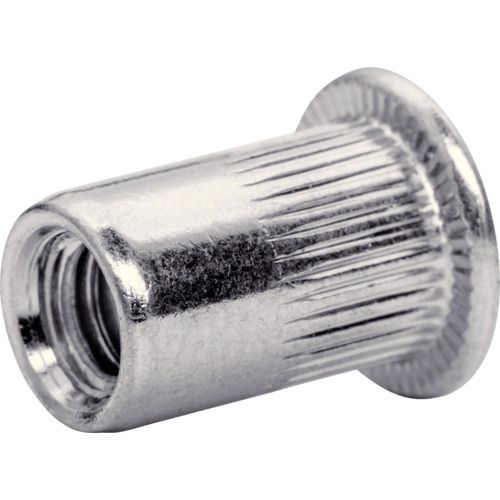 Rapid　ブラインドナット　M6×1．0（2