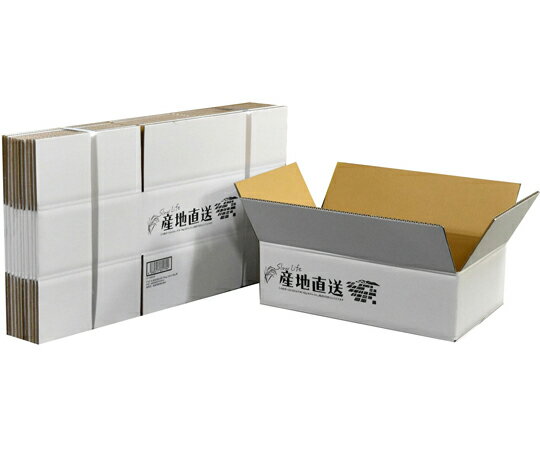 【期間限定!対象商品P2〜20倍】 ダンボール　産地直送お米10kg　みかん6kg用　10枚入　011500151セット(10枚入)
