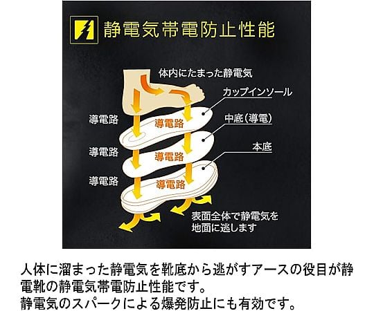 JSAAA種認定先芯入りスニーカーLSS-701静電ブラック30.0cm　LSS-701S-BK-30.01足