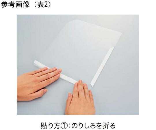 ピタッと貼るだけファイルポケット表21パック（10枚入）　4305-78251パック(10枚入)