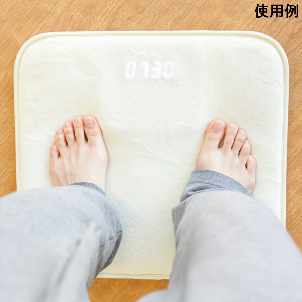 強制目覚ましマットで二度寝知らず「ニドネン」　ALMCARSNA1個