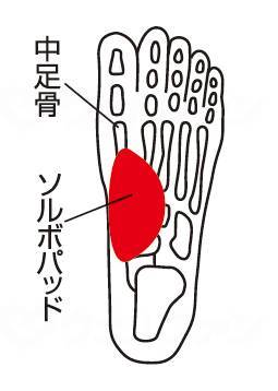 福祉用具のバリューケアの【期間限定!対象商品P2〜20倍】 三進興産ソルボタテアーチサポーター 薄型（1足入） オフホワイト S｜アングル2