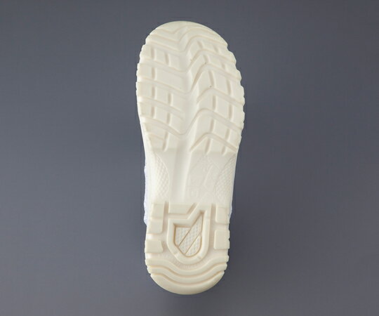 �����ԥ奢���꡼������֡���(�ե����ʡ��դ������󥰥�����) 21.0cm TCBS-LN 1­