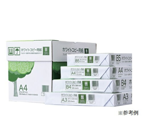 高白色コピー用紙 A4 500枚 61-336-1-2 1セット(500枚入) 高白色コピー用紙 A4 500枚 61-336-1-2 1セット(500枚入)