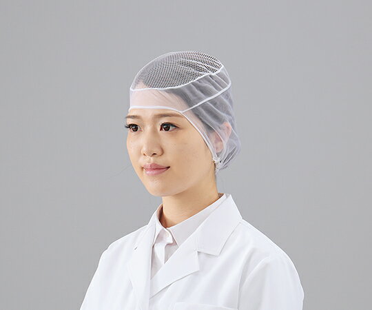 【期間限定!対象商品P2〜20倍】 クリーンネット 20枚入 男女兼用 M-33(天メッシュ) 1箱(20枚入)