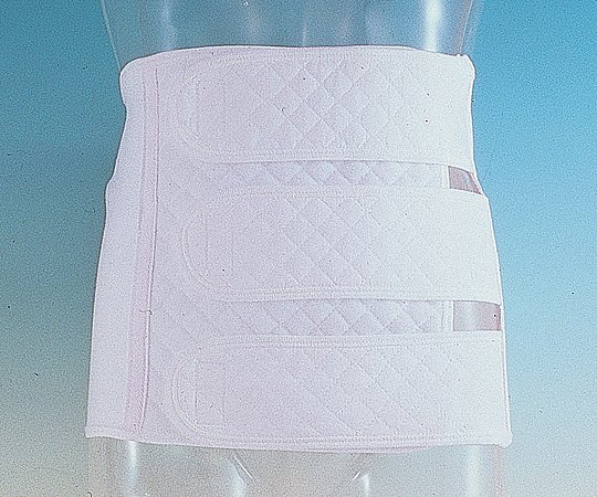 �ڴ��ָ���!�оݾ���P2��20�ܡ� ʢ��(���ե٥�) 1�� L 78~98cm 004-41318 1��