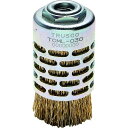 TRUSCO ケレンブラシBBR0.25バンロープ線 1個 (TCML030)