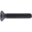 TRUSCO 六角穴付皿ボルト 黒染め 全ネジ M10×30 16本入 1Pk (B731030)
