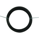 DAIDОHANT なまし鉄線 #12×72M 3KG 1巻 (10155333)