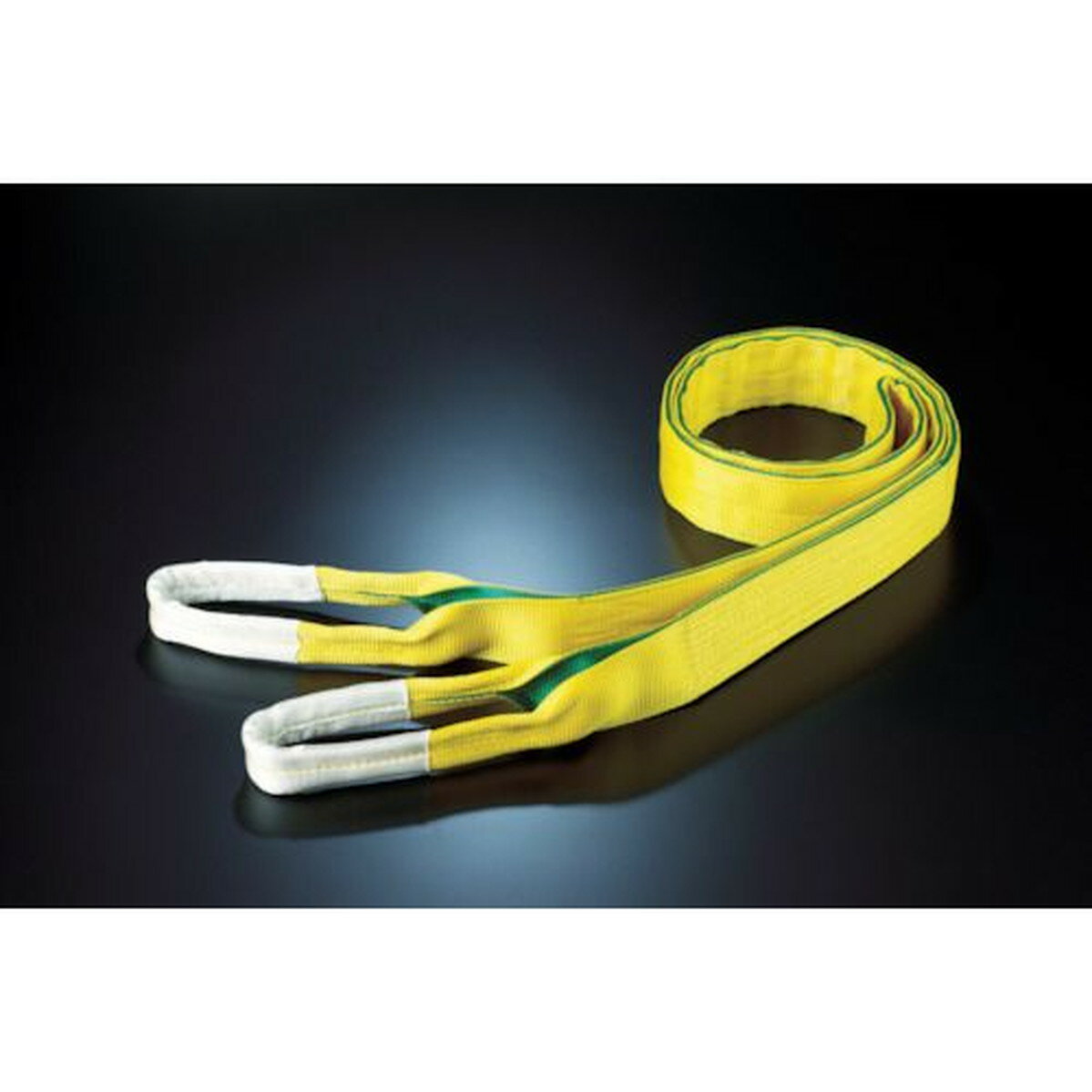 田村　ベルトスリング　Zタイプ　4E　100×8．0　1本 (ZE1000800)