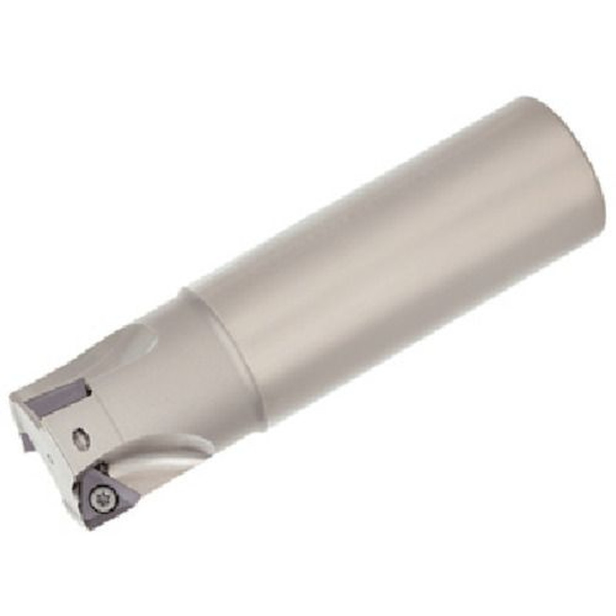 タンガロイ TAC柄付フライス 1個 (EPA10R032M32.0-02L)