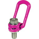 RUD ロードリングインチサイズ VLBG−Z 2.5T 7/8−9UNC 1個 (VLBGZ2.5T789UNC)