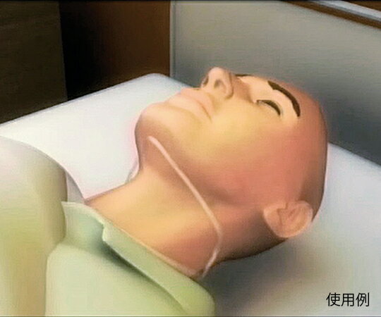 ���󥫥顼(���ܸ����ĸ���) L������ 10���� 1Ȣ(10����)