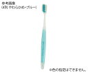 デンタルプロ ダブル(マイルド毛) 4列 ふつう 1本