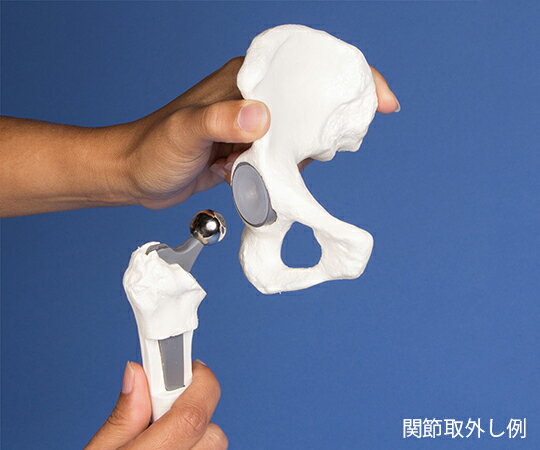 【期間限定!対象商品P2〜20倍】 股関節イン...の紹介画像3