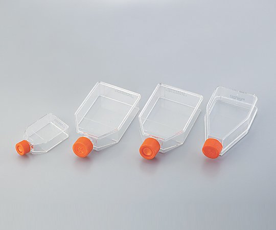 【期間限定!対象商品P2〜20倍】 細胞培養用フラスコ(ベントキャップ/カントネック) 600mL 430825 1ケース(5個×10包入)