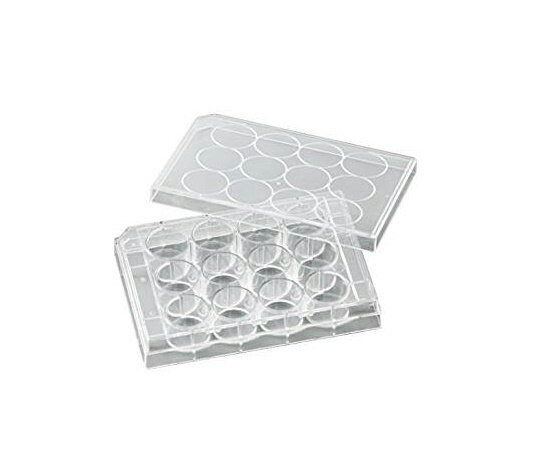 ビオラモ 細胞培養プレート VTC-P12 1箱(50個入)