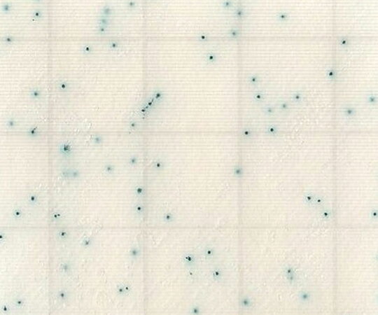 MC-Media Pad SA �����֥ɥ������ (100��) 1Ȣ(25���4����)