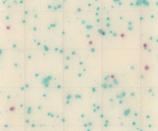 手軽にかつ正確な微生物検査が可能です。 ・サンプルを培地パッドに滴下するだけですので、不慣れな方でも取り扱いが容易です。 ・経験の差が出にくくなります。 ・発育した菌は特徴的な発色コロニーを形成しますので、判定が容易です。 ・運動性の高い菌も計測しやすく、判定に経験の差が出にくくなっています。 ・滅菌された出来合い培地ですので、培地調製が不要です。 ・食材等の試料液検査をはじめスタンプ法・塗抹法・メンブランフィルター法・落下菌の検査が可能です。 ・かさばらず、長期保存が可能です。 ・省スペース化と廃棄量低減により、環境にやさしい製品です。 ・国際認証 MicroVal、AOAC PTM 認証取得 ・食品衛生検査指針準拠対象菌：大腸菌及び大腸菌群 ・入数：1箱（25枚/袋×4袋入） ・培養条件：35℃　24時間 ・保存方法：2-15℃の冷蔵庫 ・アルミ袋開封後、未使用のシート培地はアルミ袋にシールして冷蔵保管 ・※「食品衛生検査指針　微生物編2018」収載製品 ・AOAC PTM認証No.：051704手軽にかつ正確な微生物検査が可能です。 ・サンプルを培地パッドに滴下するだけですので、不慣れな方でも取り扱いが容易です。 ・経験の差が出にくくなります。 ・発育した菌は特徴的な発色コロニーを形成しますので、判定が容易です。 ・運動性の高い菌も計測しやすく、判定に経験の差が出にくくなっています。 ・滅菌された出来合い培地ですので、培地調製が不要です。 ・食材等の試料液検査をはじめスタンプ法・塗抹法・メンブランフィルター法・落下菌の検査が可能です。 ・かさばらず、長期保存が可能です。 ・省スペース化と廃棄量低減により、環境にやさしい製品です。 ・国際認証 MicroVal、AOAC PTM 認証取得 ・食品衛生検査指針準拠対象菌：大腸菌及び大腸菌群 ・入数：1箱（25枚/袋×4袋入） ・培養条件：35℃　24時間 ・保存方法：2-15℃の冷蔵庫 ・アルミ袋開封後、未使用のシート培地はアルミ袋にシールして冷蔵保管 ・※「食品衛生検査指針　微生物編2018」収載製品 ・AOAC PTM認証No.：051704