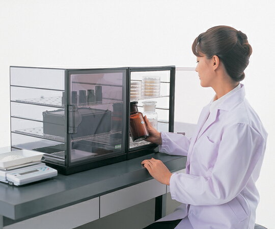 �ѥ���ʥǥ��������� ������̵�� IW 1��