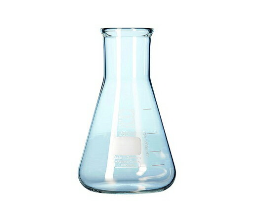 極厚三角広口フラスコ 250mL 212273604 1個