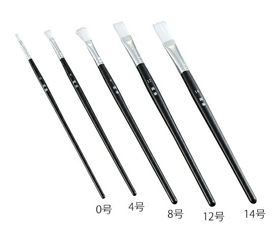 �ڴ��ָ���!�оݾ���P2��20�ܡ� ʿɮ OCTAGON PBT 0�� 11897 1��