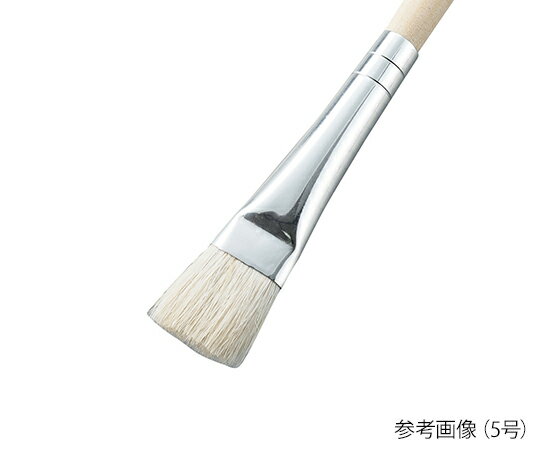 ʿɮ OCTAGON ���� 5�� 11700 1��