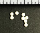 ビーズ式粉砕機 セラミックビーズ(φ2.8mm) 1kg/袋