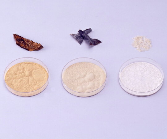 ���֥���塼�ȥߥ� ABS-W 1��